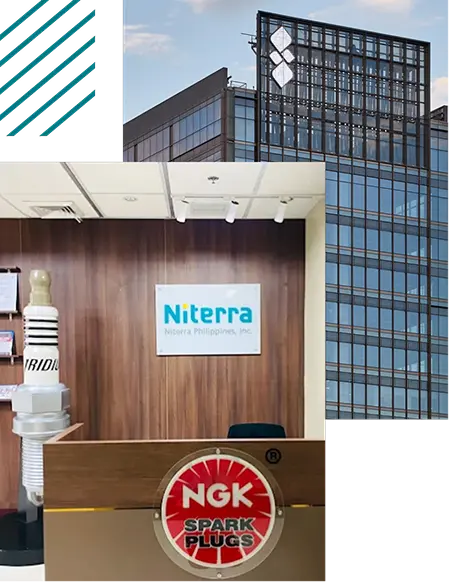 About Niterra